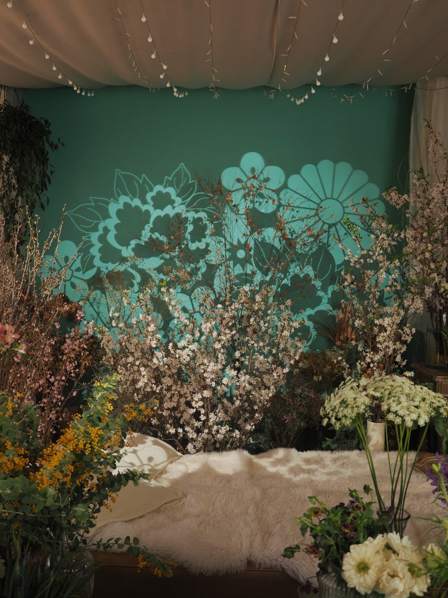 奈蜘👁‍🗨3/29ｱｺﾗｲ tweet media