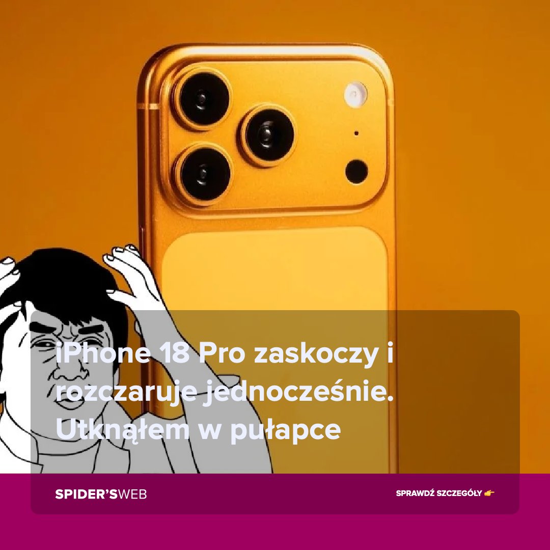 SPIDER'S WEB tweet media