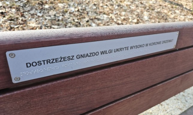 donald_PL_'s tweet image. to już wyrafinowana perwersja