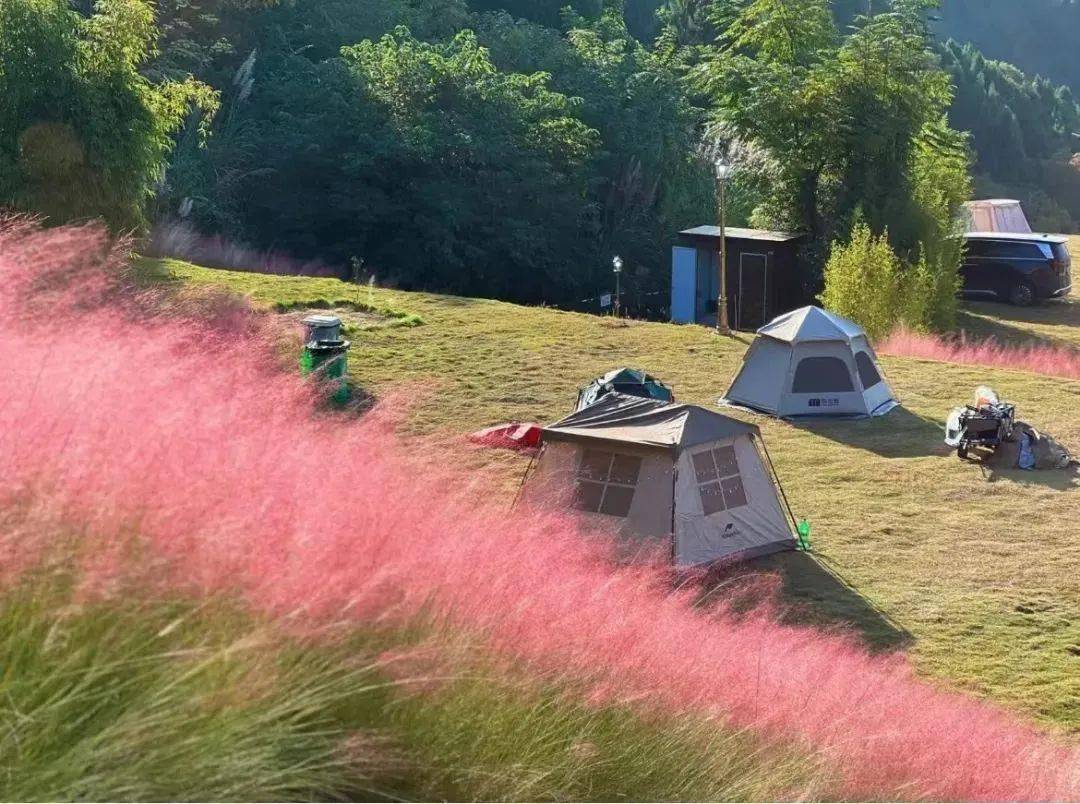 MOH.SYAIFUDIN tweet media