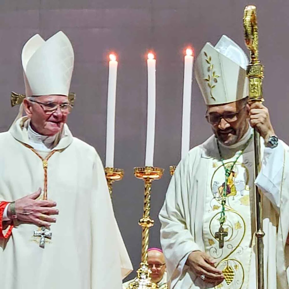 The Southern Cross  tweet media