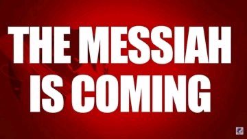 Irene Odero tweet media