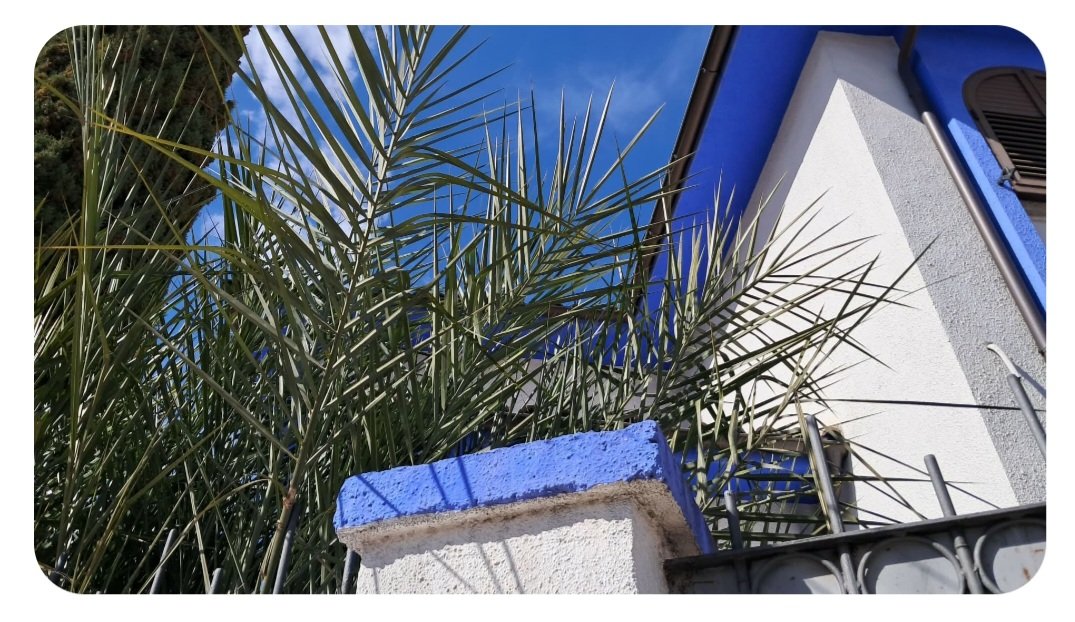 Bobin'St tweet media