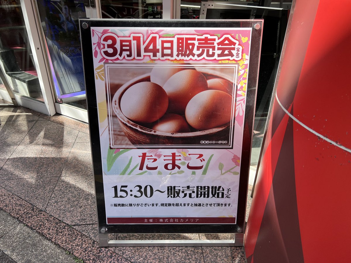 パチンコ屋にたまご来訪だと……？ そこで開始時間に行ってみたら長蛇の