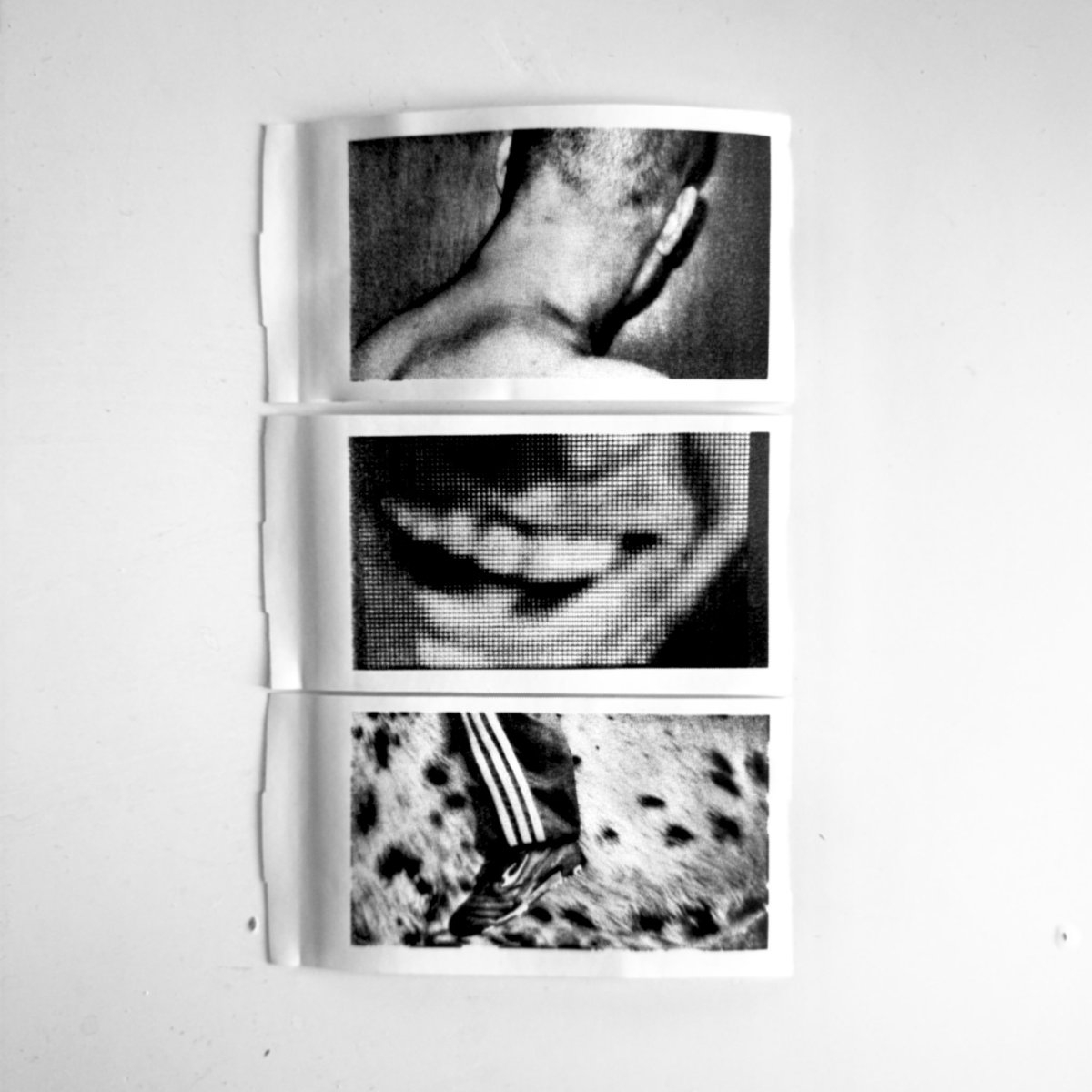 DIMITRII ANISIMOV tweet media