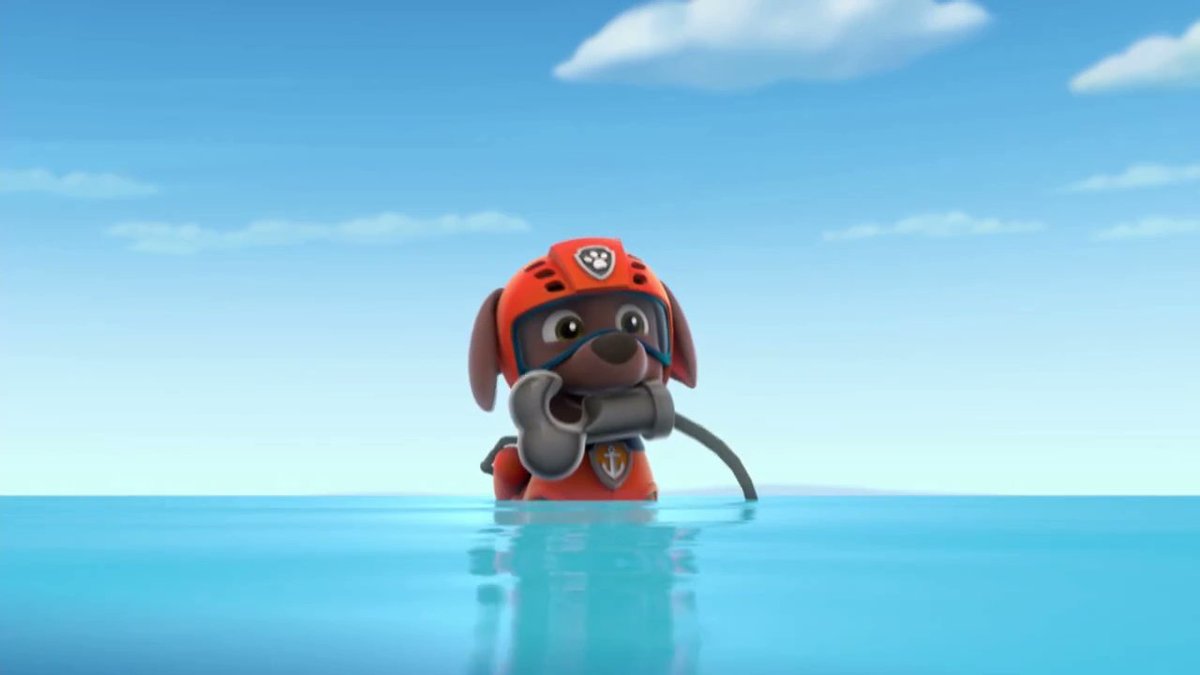 Zuma Pup Fanatic tweet media