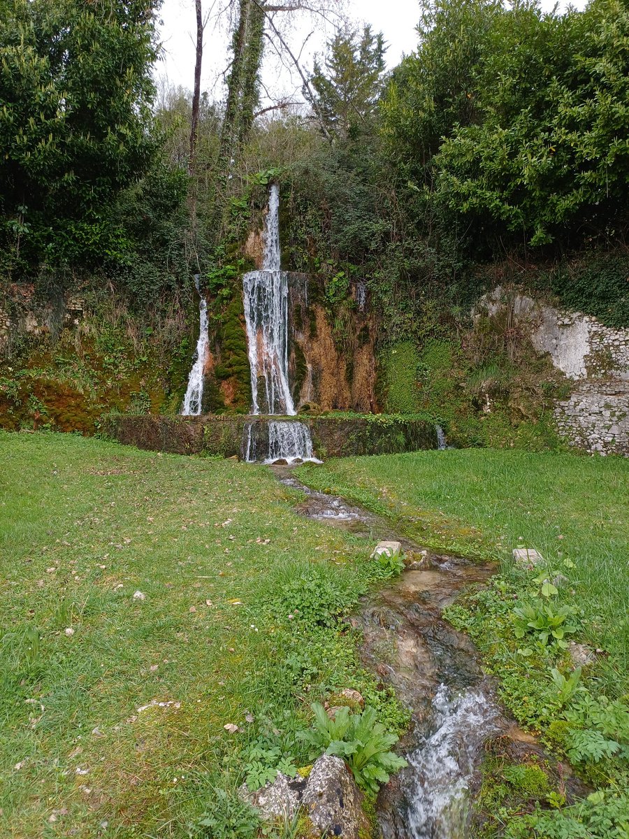 Carob Mill tweet media