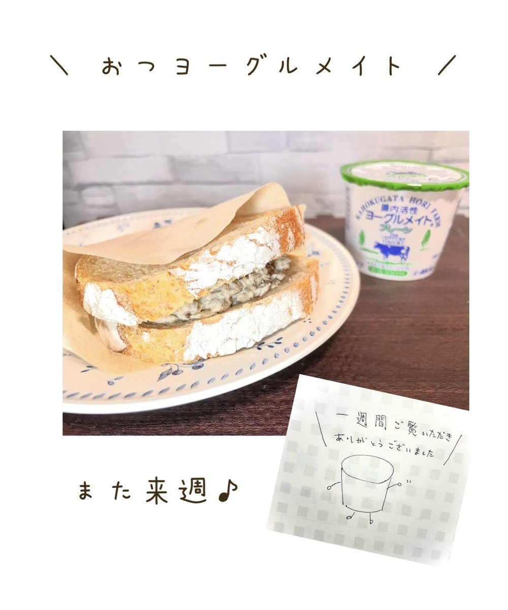 ㈱ニューミクロス 公式【腸内活性ヨーグルメイト】 tweet media