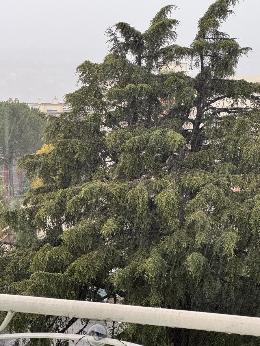 Nice sous la pluie. 
Ville vide. 
Le niçois est comme le chat. Il craint l’eau et ne sors sous la pluie qu’en cas d’urgence absolu. Et encore, il faut discuter du sens que l’on donne à urgence absolue.