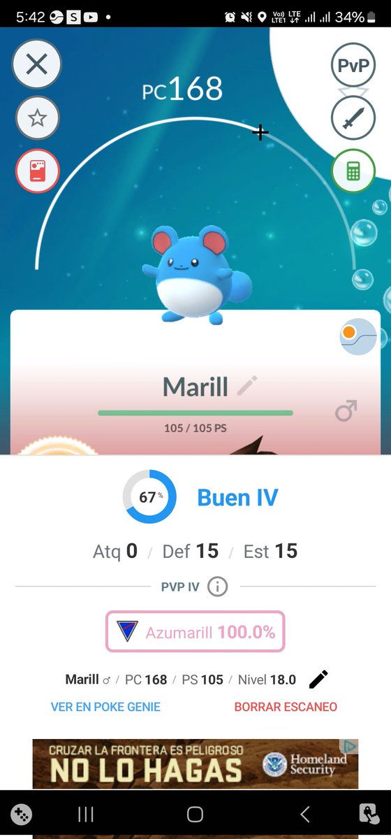 luifra11's tweet photo. Llevaba años buscando este poke y no había hecho ningún azumarill para pvp hasta encontrarlo https://t.co/fAfbTi5jd8