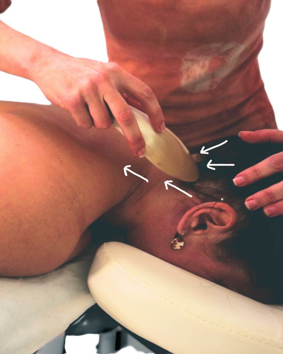 Elefteria Mantzorou tweet media