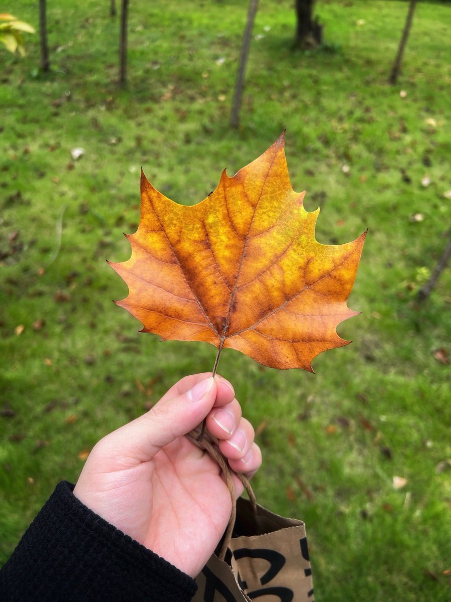 Kuppy_ Transaction Advisor tweet media