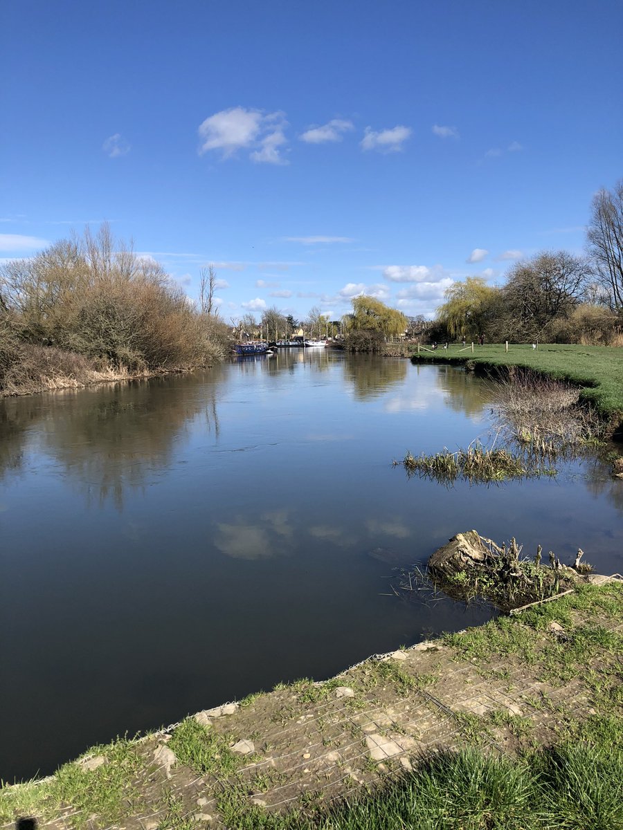 bill 🇺🇦 tweet media