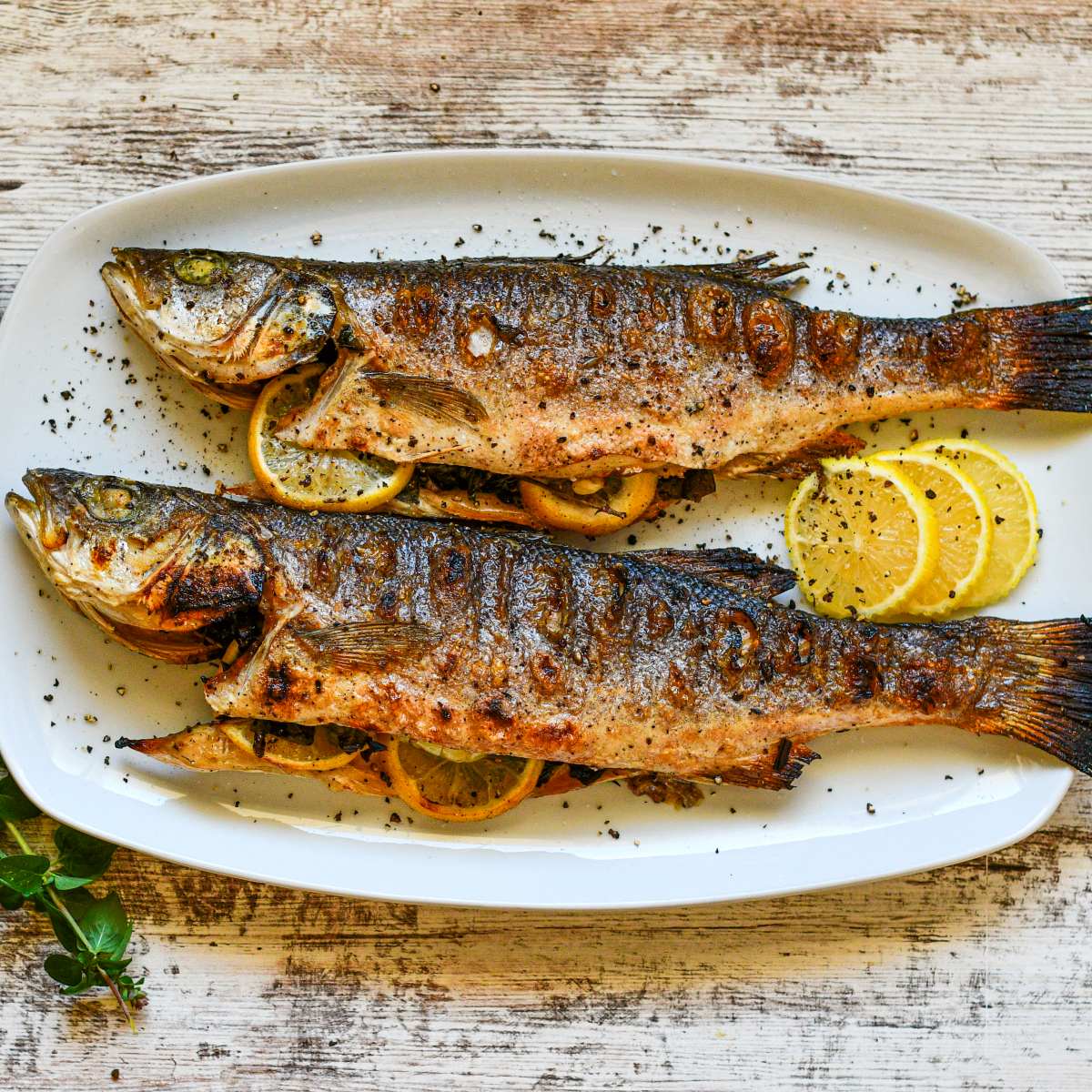 WildGameFish1's tweet photo. This roasted branzino is a simple way to make whole branzino at home - stuffed with lemon, garlic, red onion, and fresh herbs, then roasted until tender and finished under the broiler for perfectly crisp skin and easy-to-remove bones. Find the recipe at: https://t.co/hnTgjIIOCQ https://t.co/7ujMobRDv7