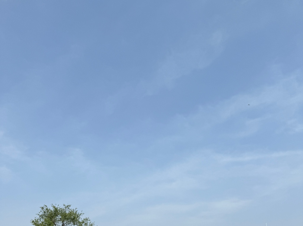 최진성 tweet media