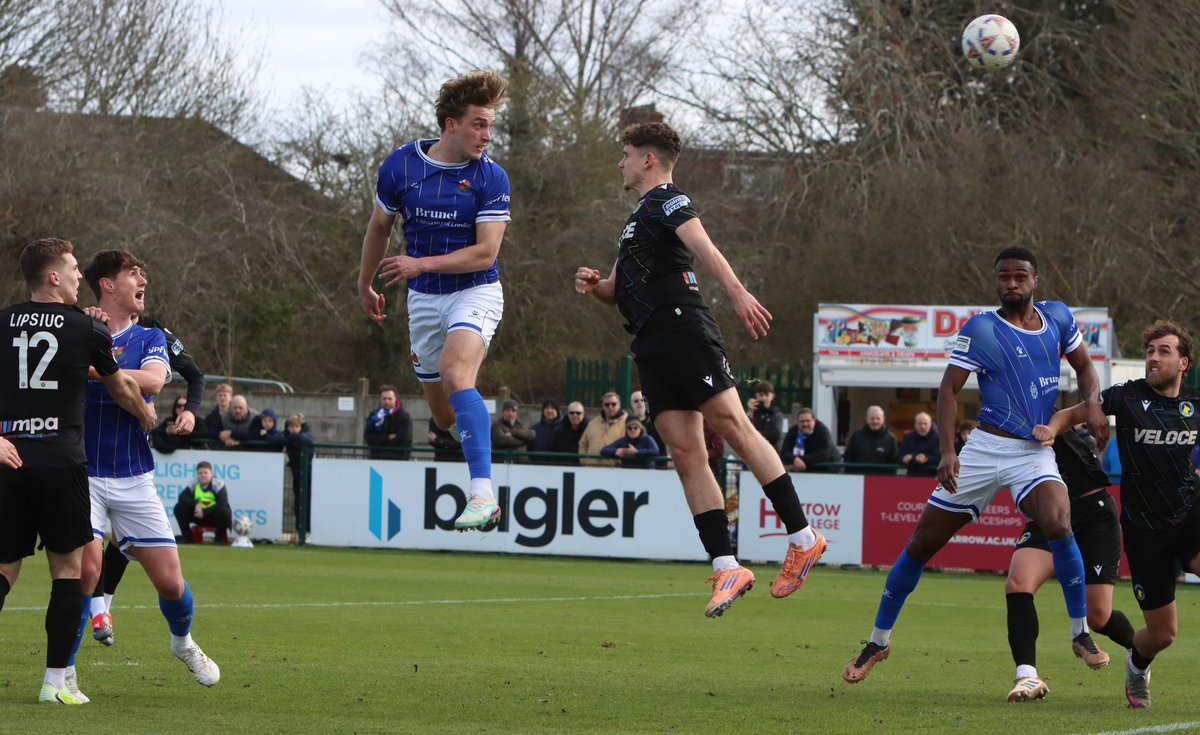 Tom Piffle tweet media