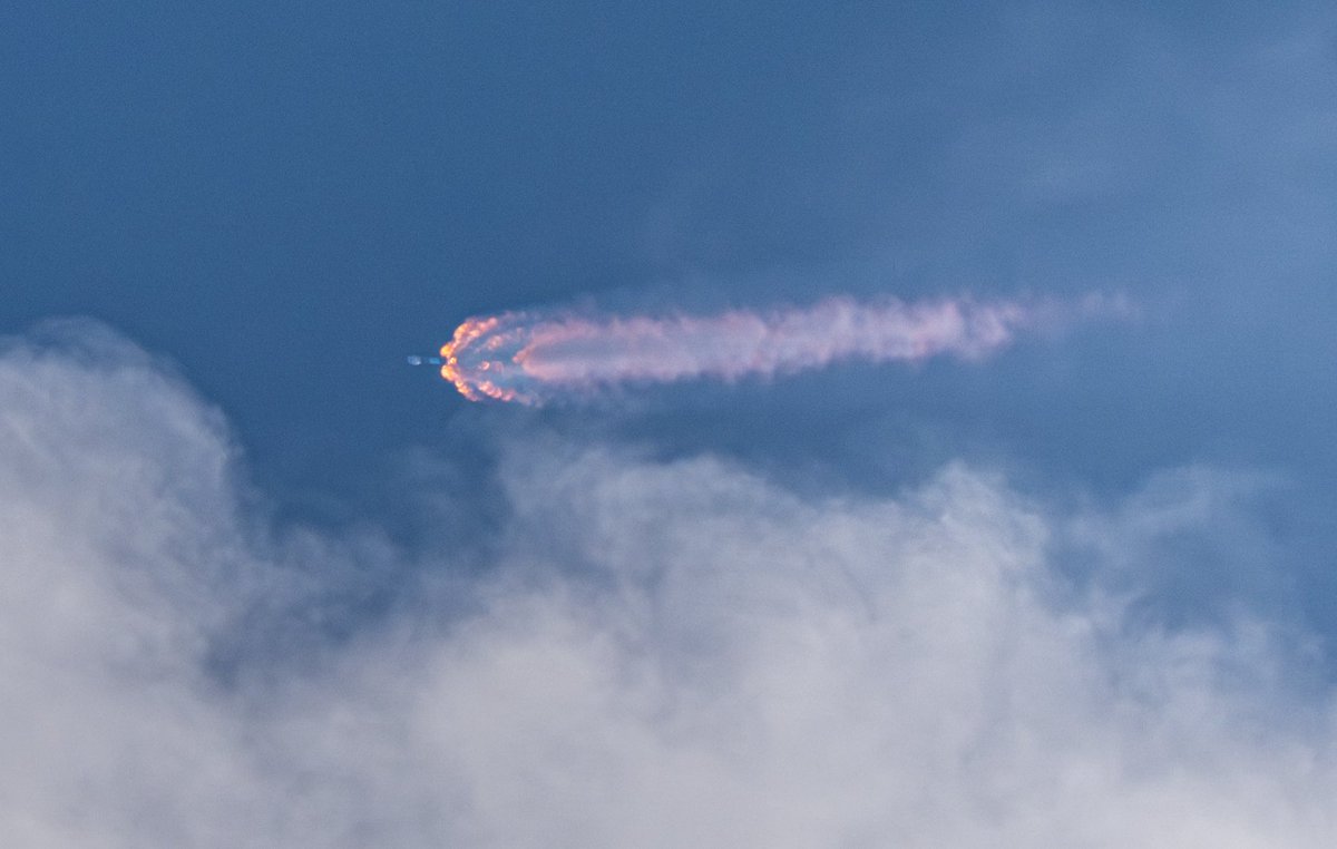 Michael Cain tweet media