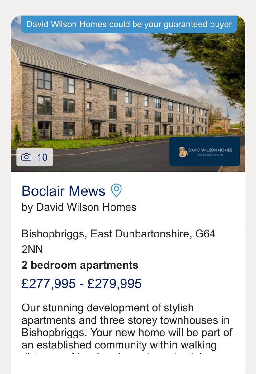 Brian Spuzuki tweet media