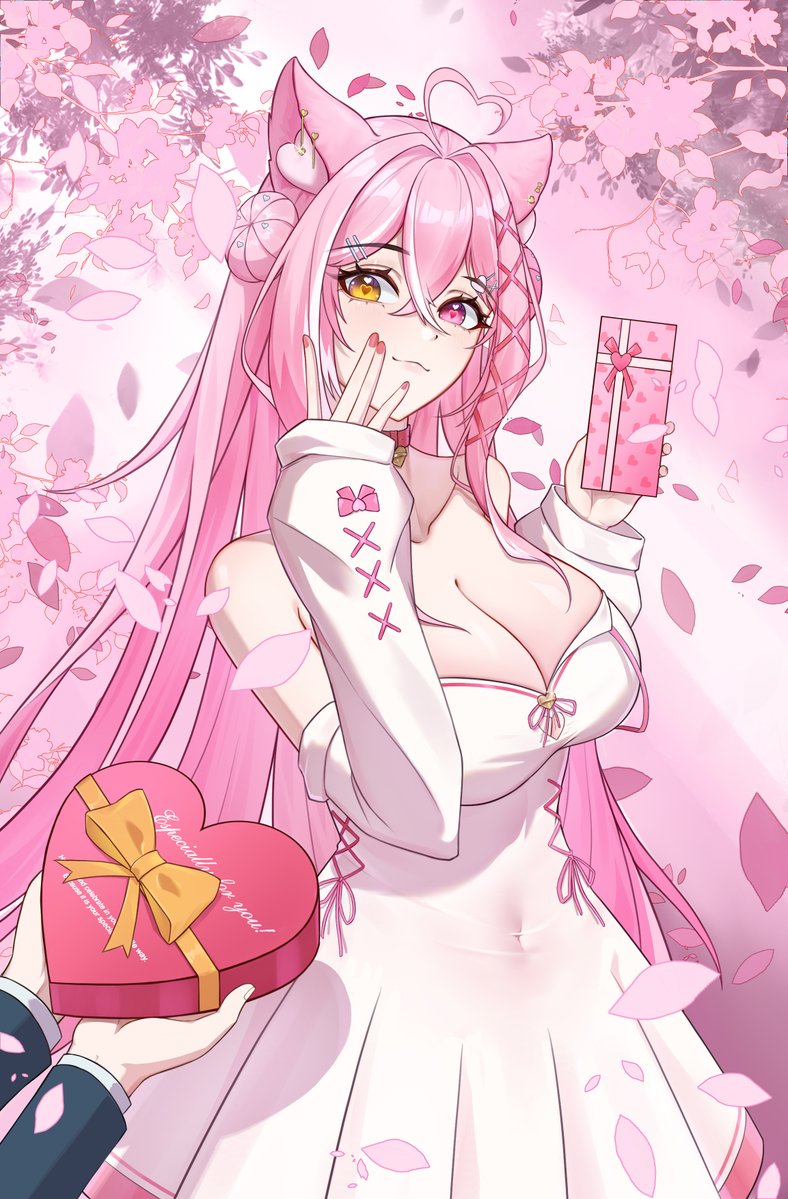 kyokoro 🤍🐾 tweet media