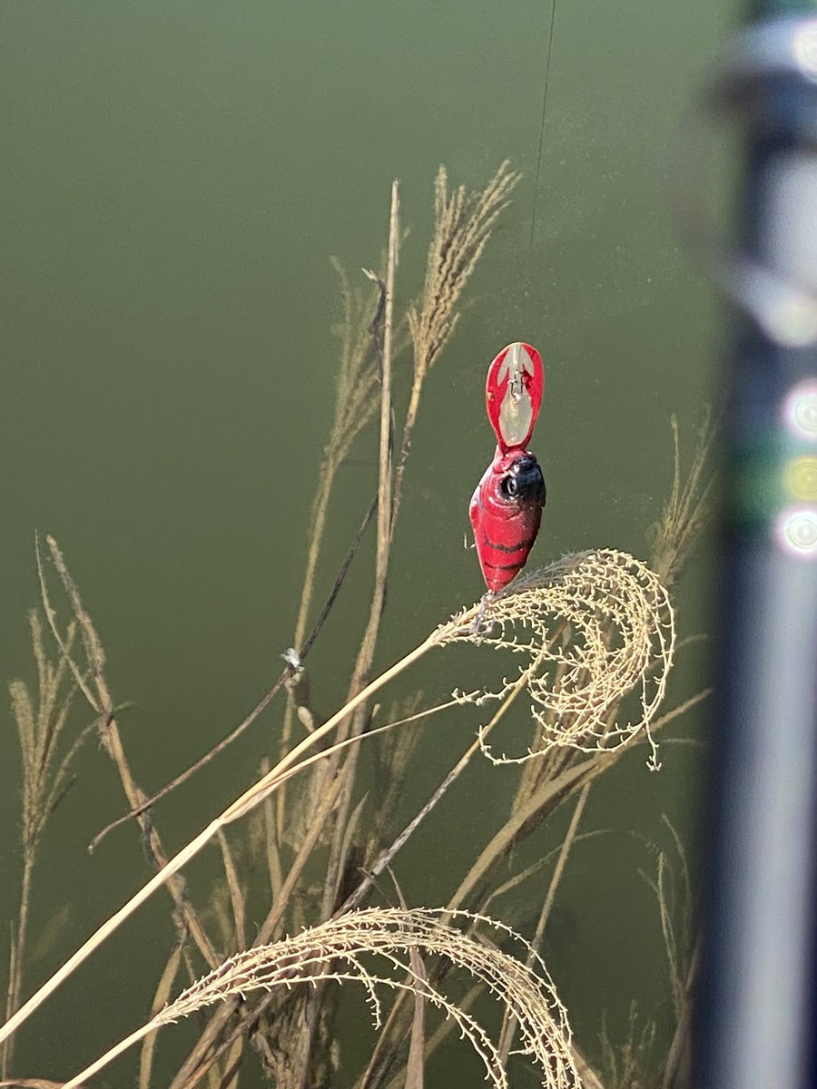 2026開幕戦
クランクマッキーマッキーするも
NBNFで終了😺