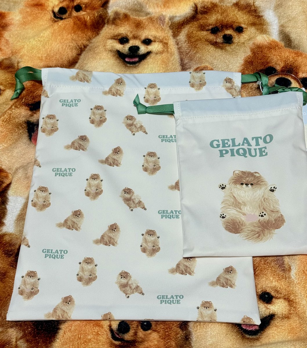 ジェラピケでヘソ天ポメラニアン巾着を買ったら、店員さんに｢本当に