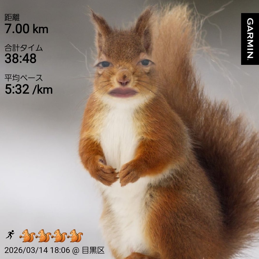 だーかね〜running instructor〜 tweet media