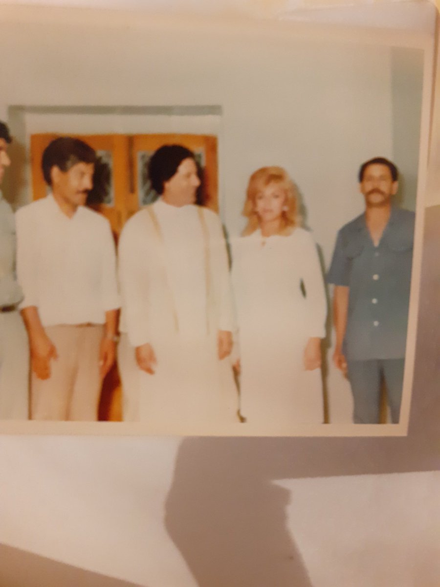 nada sekulic tweet media