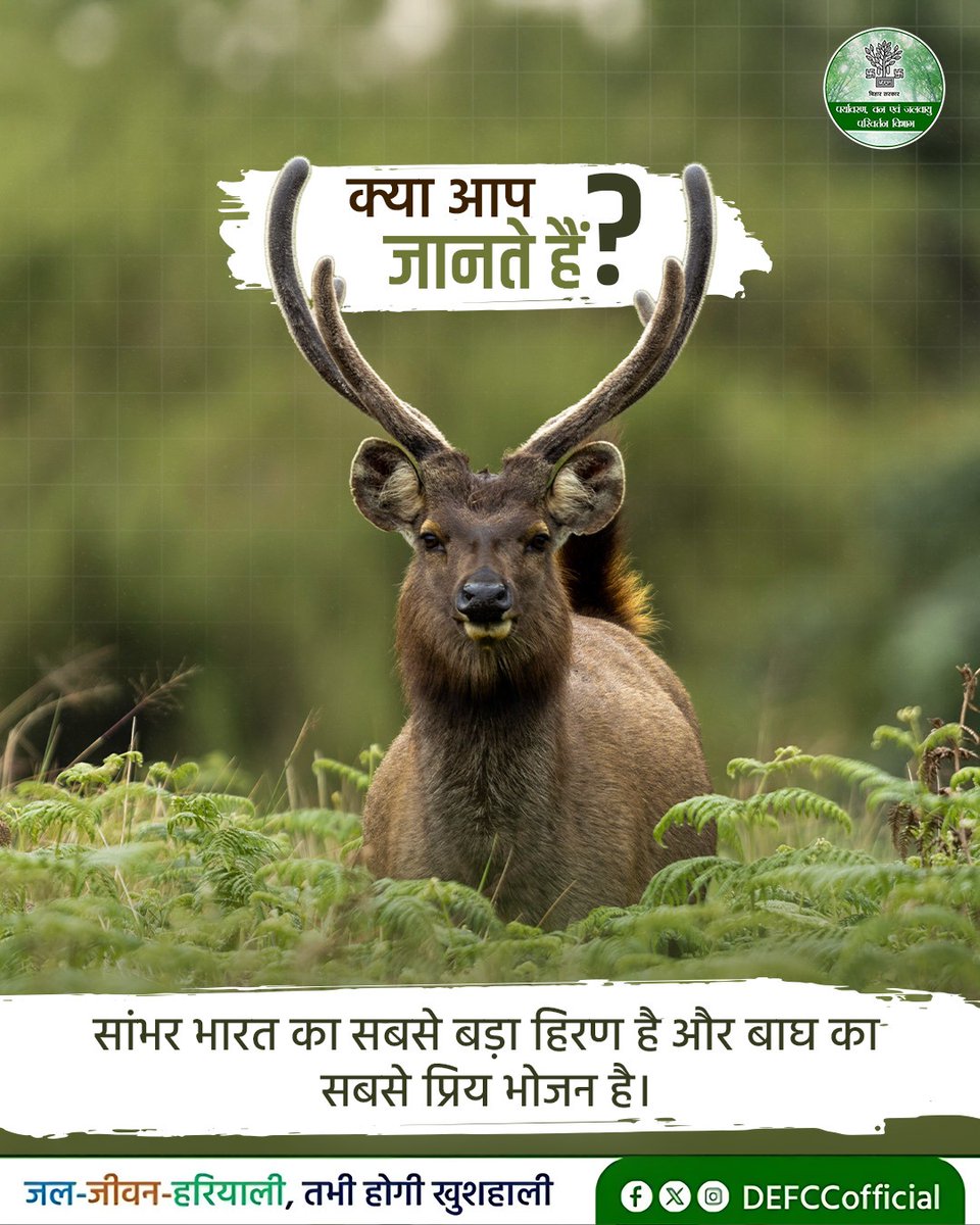 Department of Environment, Forest & Climate Change tweet media