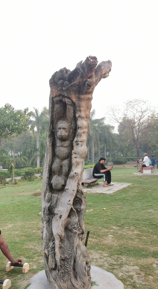 DelhiTrees tweet media