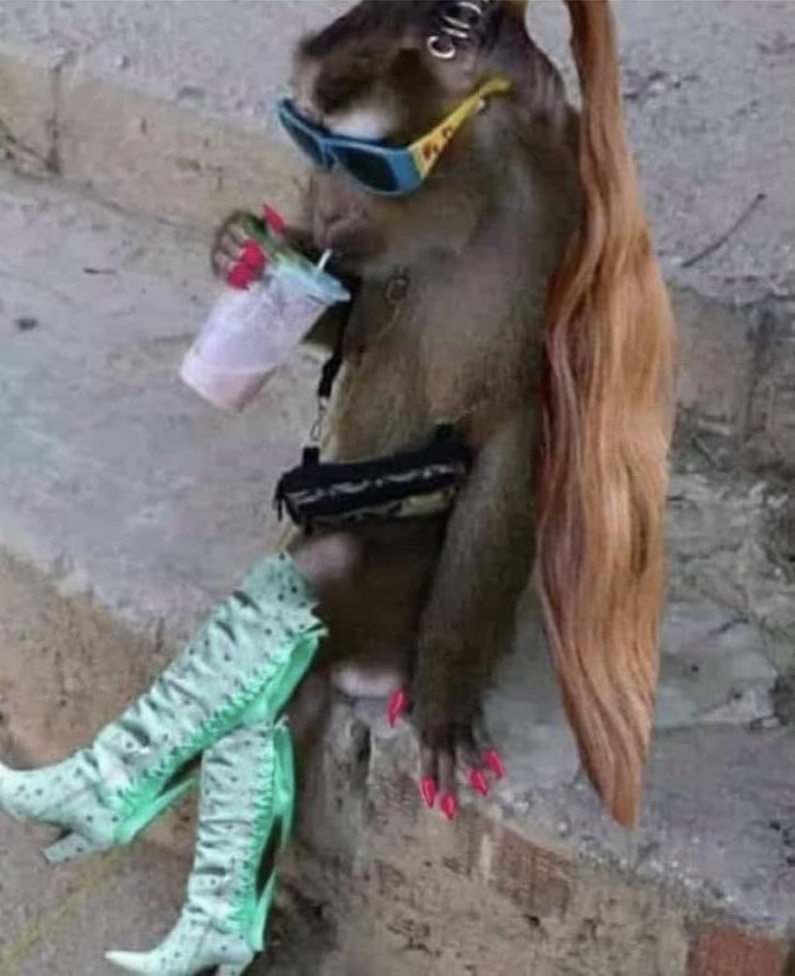 Just Jay tweet media