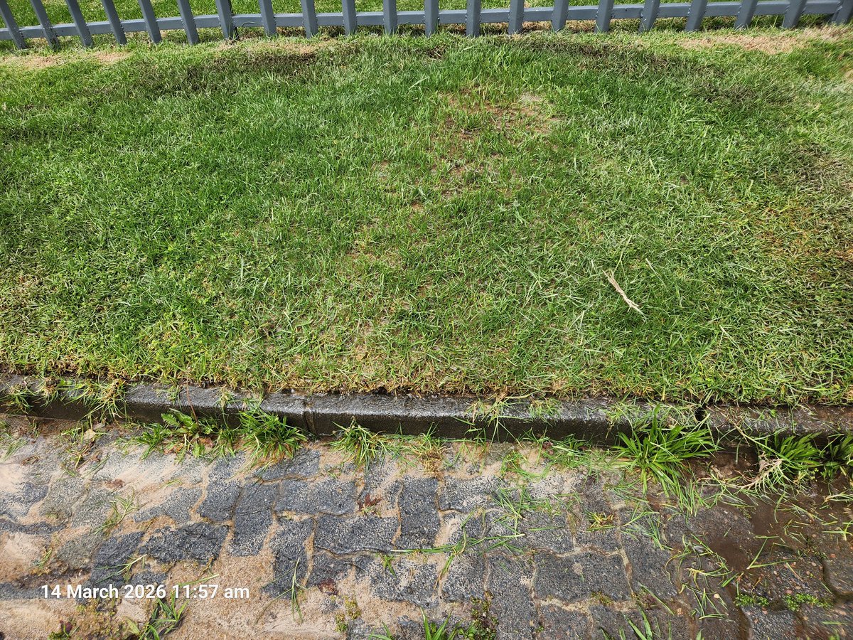 effectuator tweet media