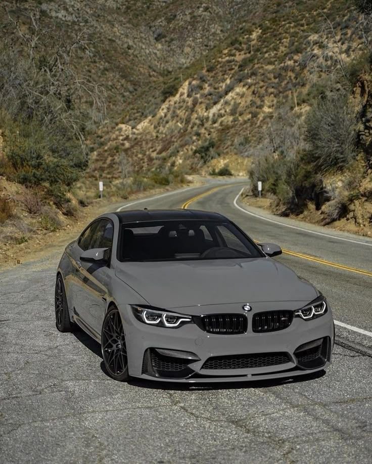 Elite Carsgasm tweet media