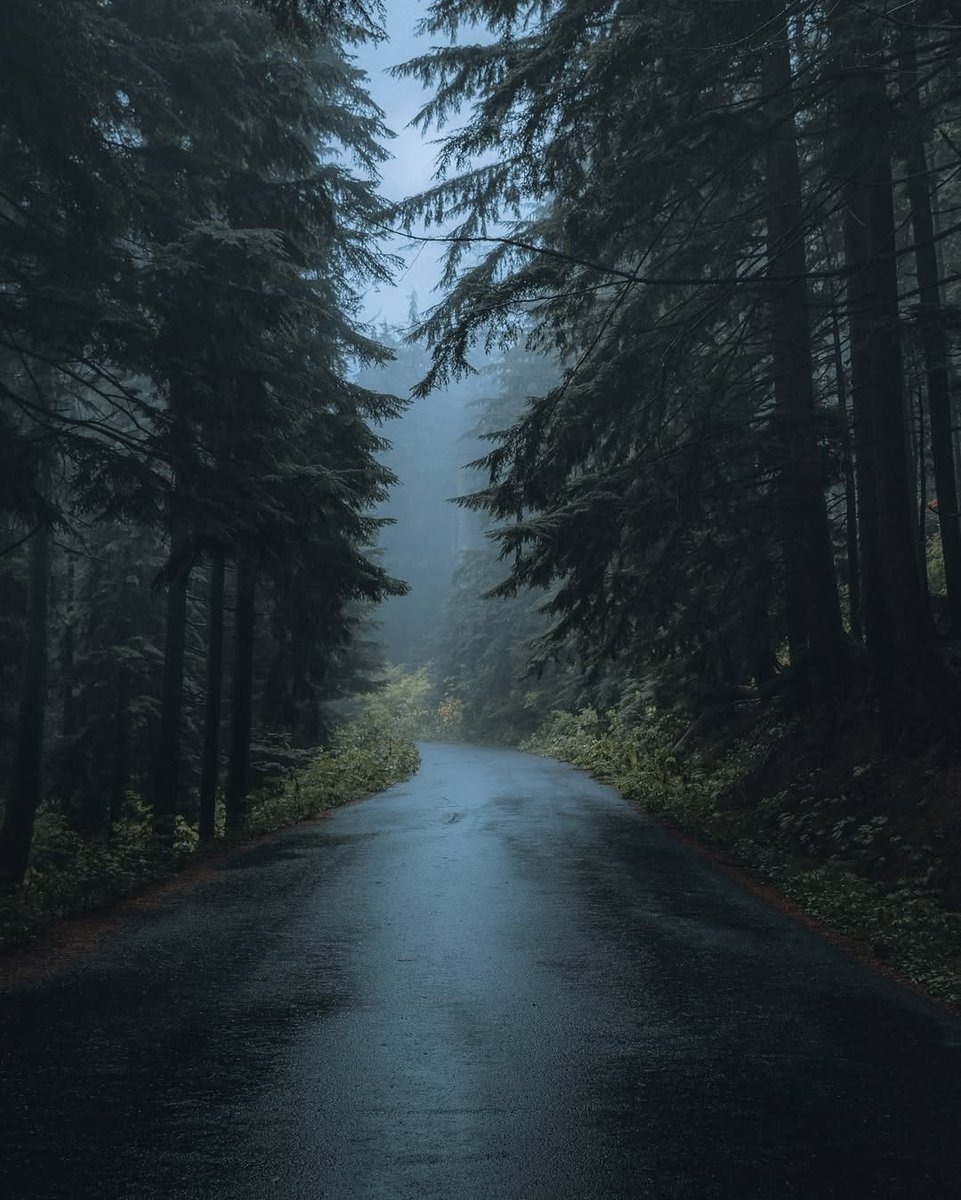 𝘄𝗮𝗻𝗱𝗲𝗿𝘁𝗿𝗮𝘃𝗲𝗹𝘀 tweet media