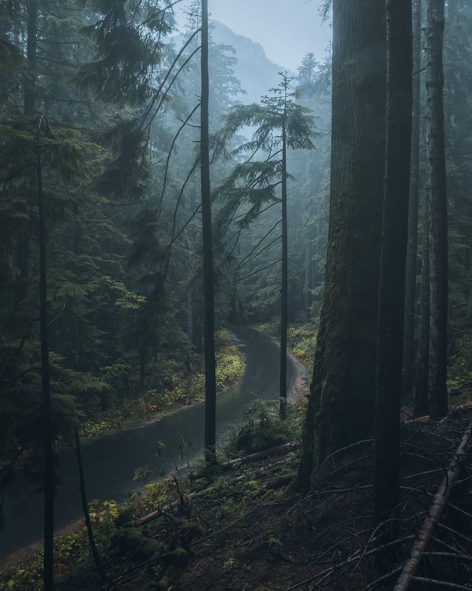 𝘄𝗮𝗻𝗱𝗲𝗿𝘁𝗿𝗮𝘃𝗲𝗹𝘀 tweet media