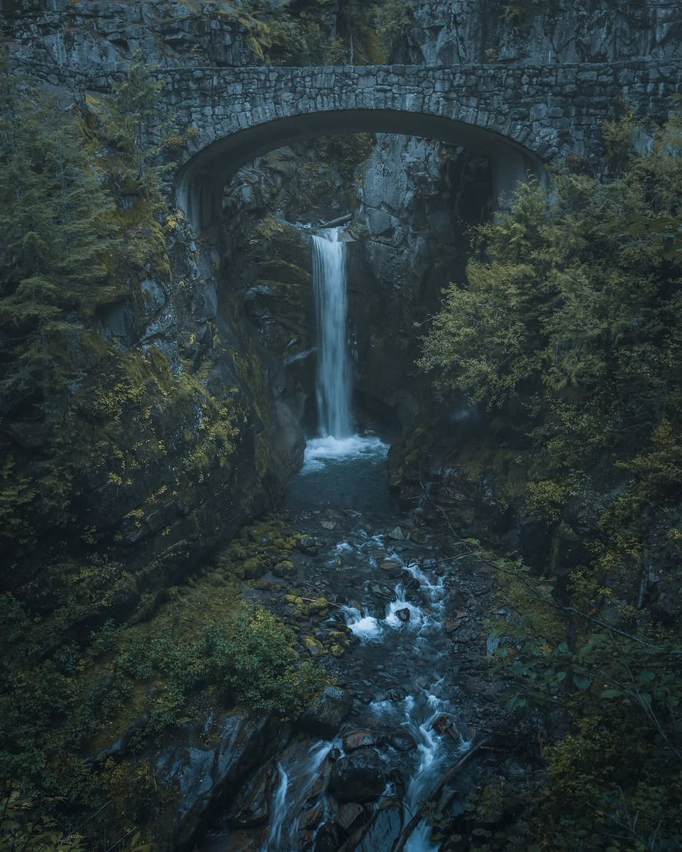 𝘄𝗮𝗻𝗱𝗲𝗿𝘁𝗿𝗮𝘃𝗲𝗹𝘀 tweet media