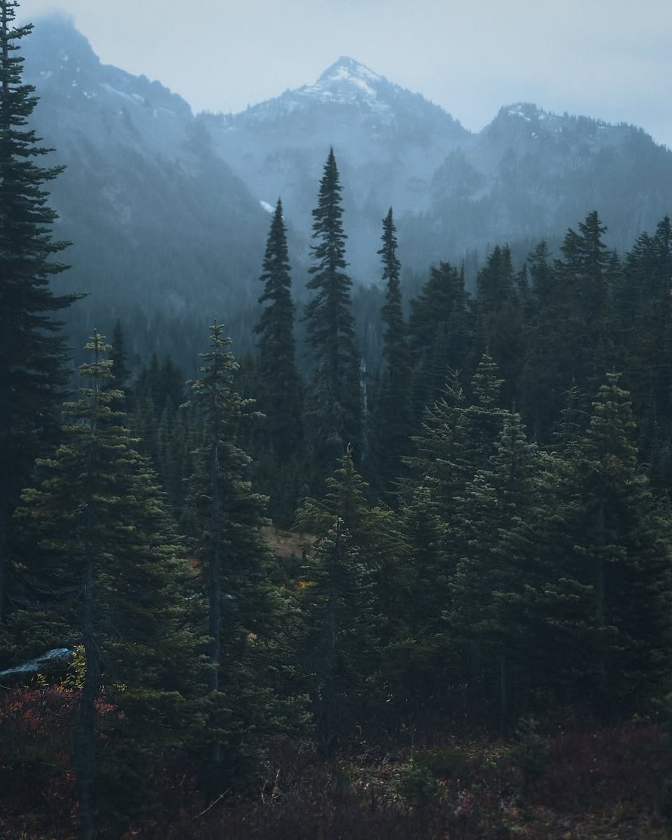 𝘄𝗮𝗻𝗱𝗲𝗿𝘁𝗿𝗮𝘃𝗲𝗹𝘀 tweet media