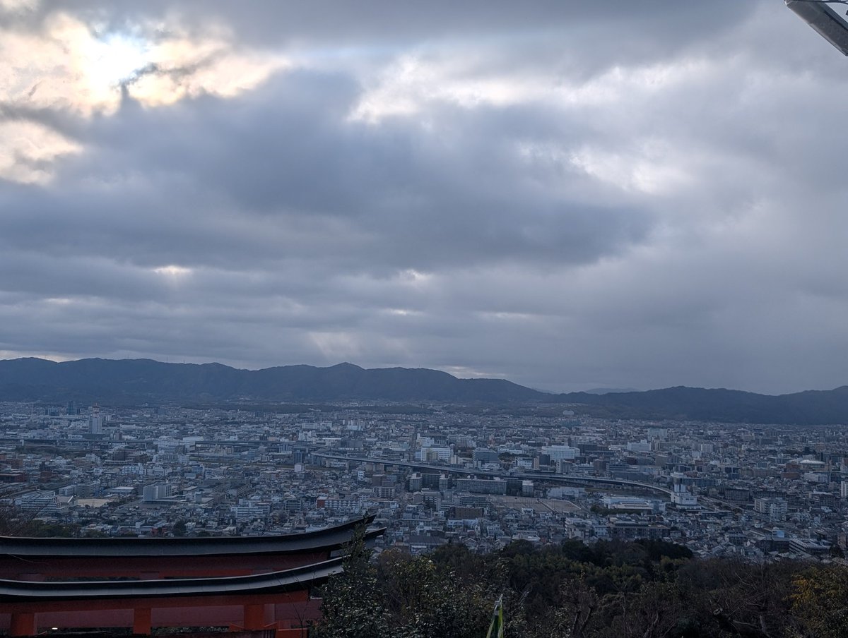 キツネ tweet media