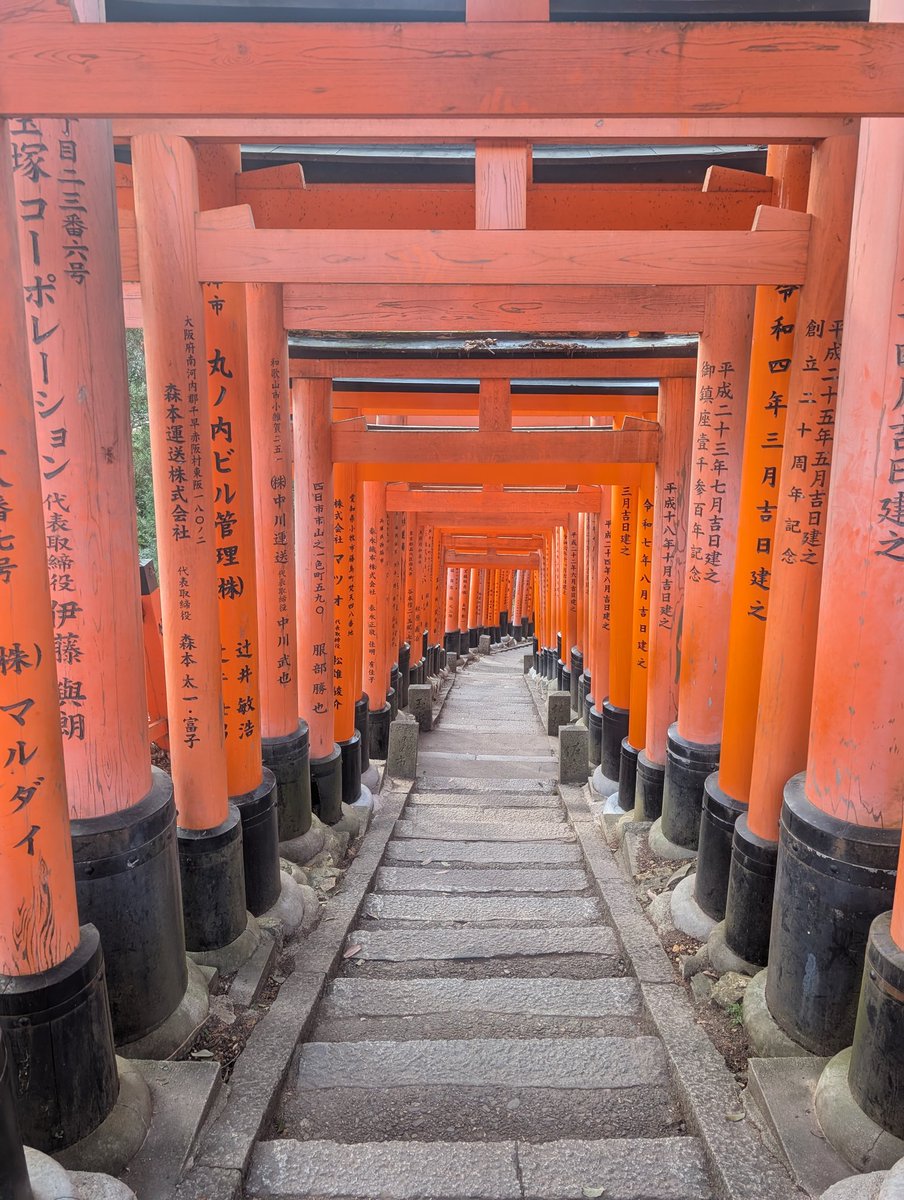 キツネ tweet media