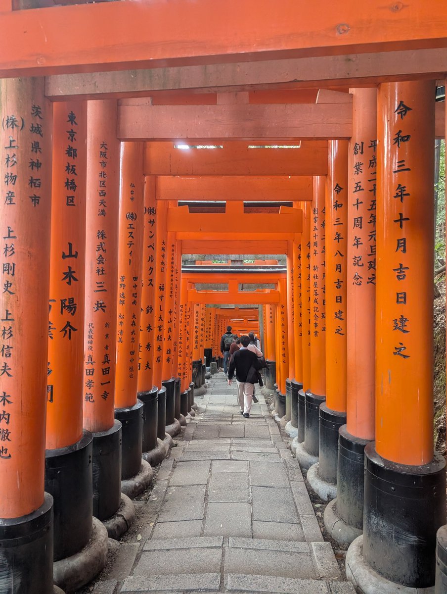 キツネ tweet media