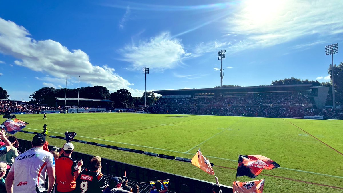 Tom Moth tweet media