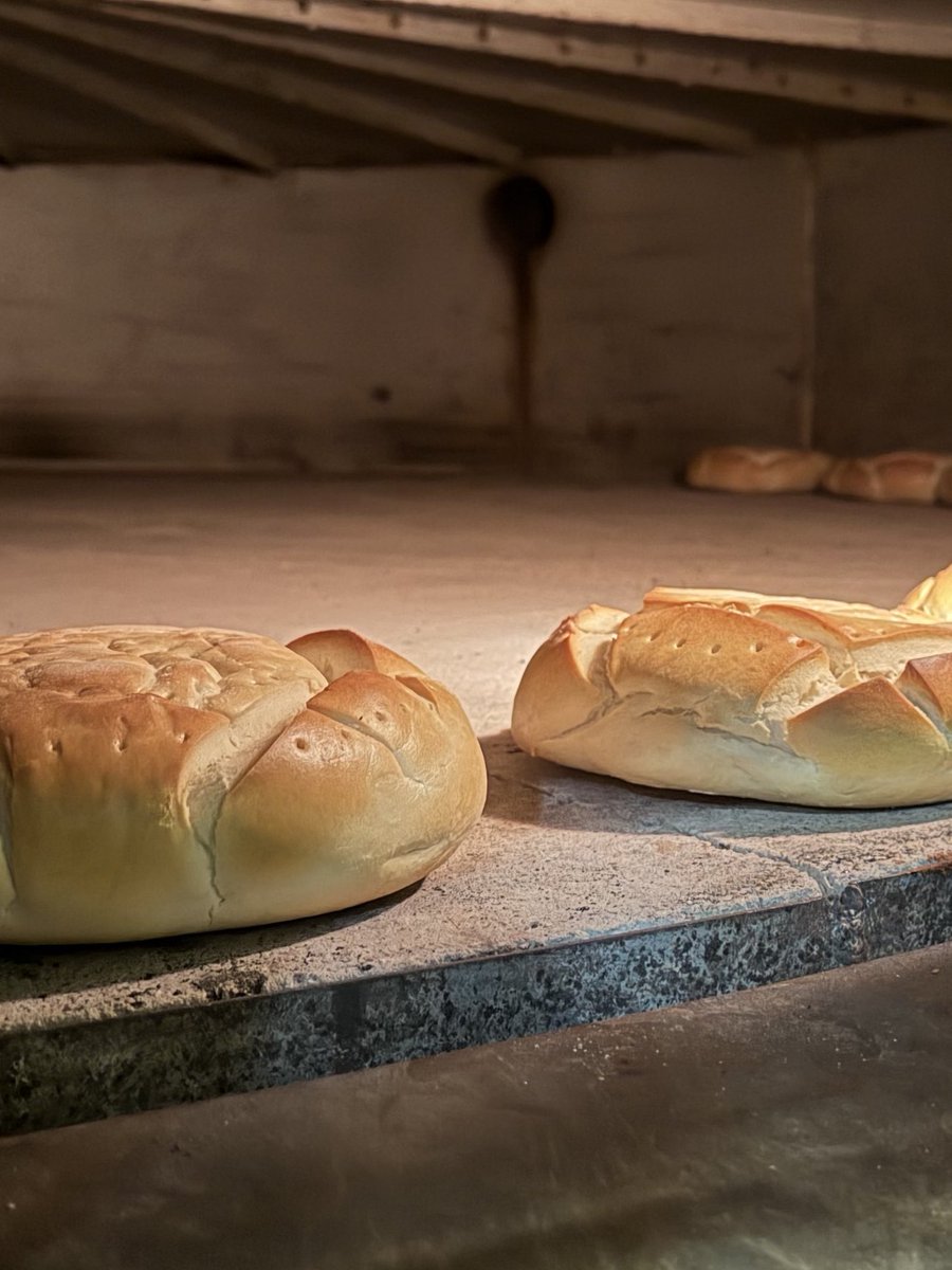 Andoni Sánchez🌾 tweet media