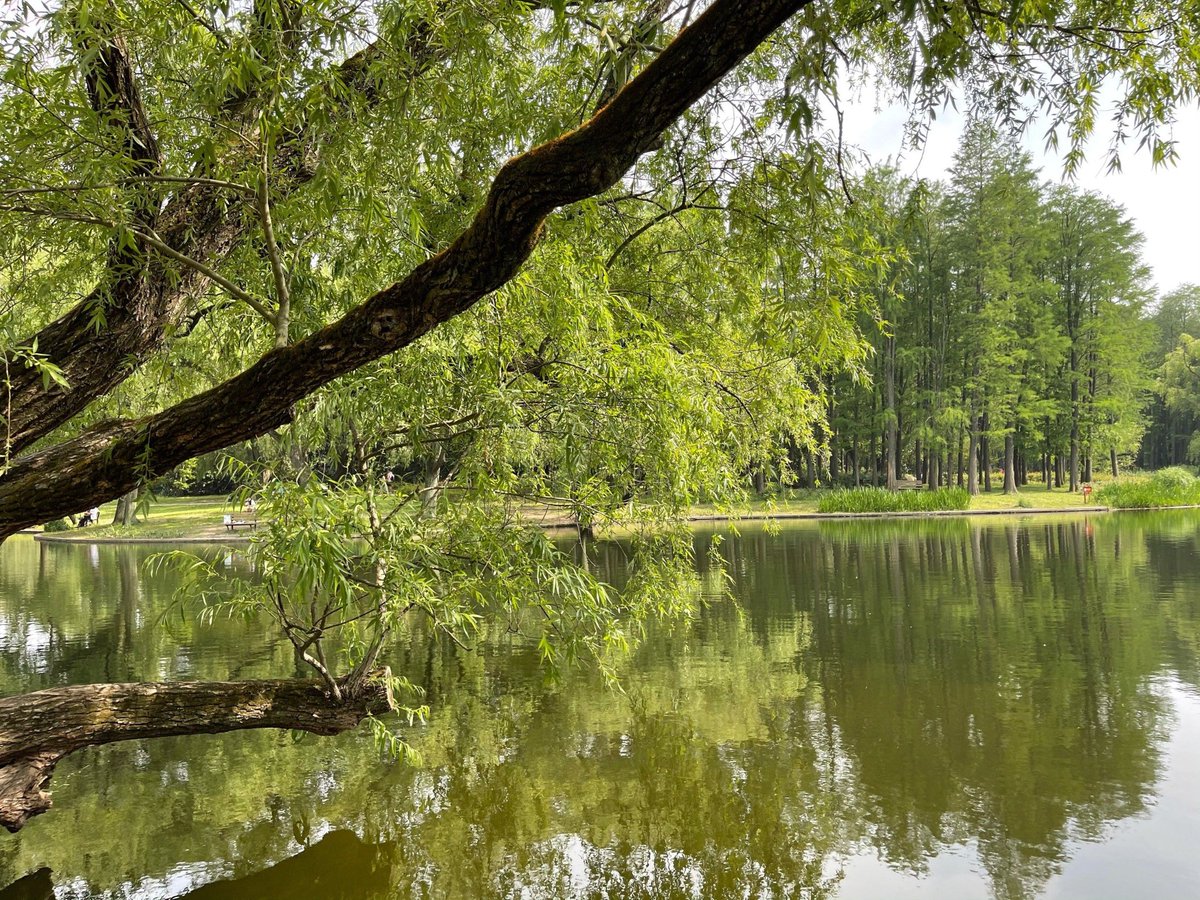 マーク　アンドレエ tweet media