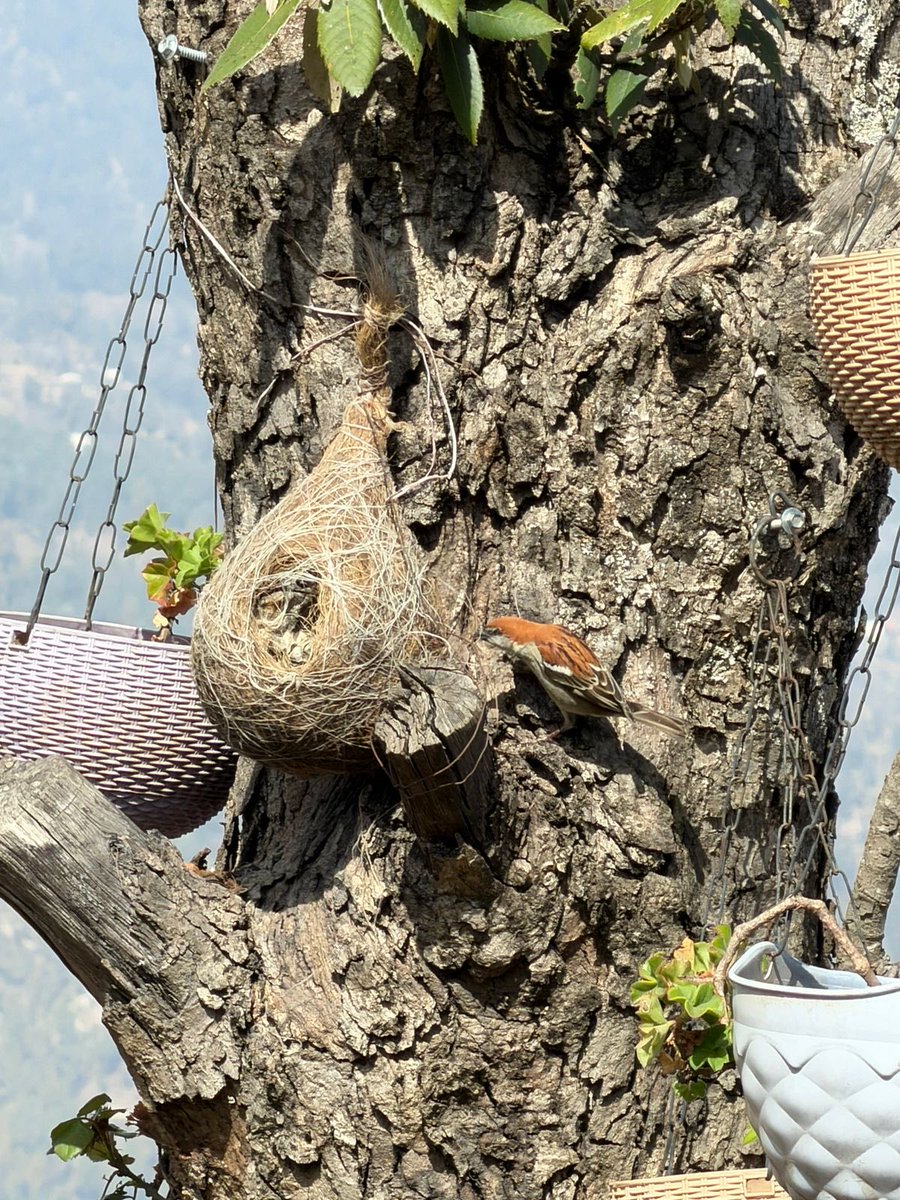 Don’t want to stay in the house provided to me but will take away construction material to build my own house.