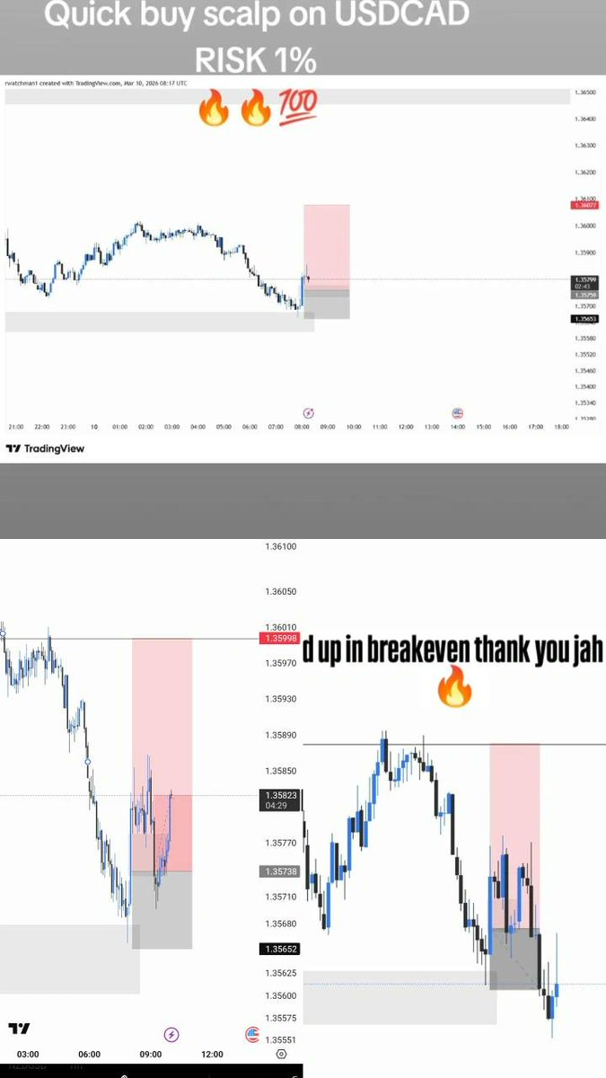 ALPHA EMPIRE tweet media