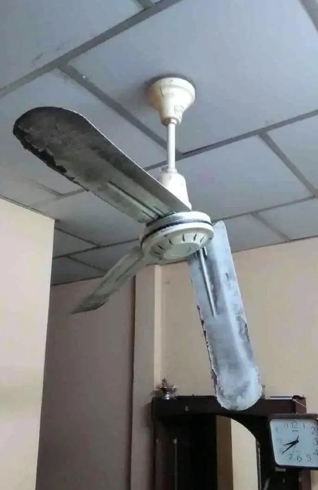 Dror Amir tweet media