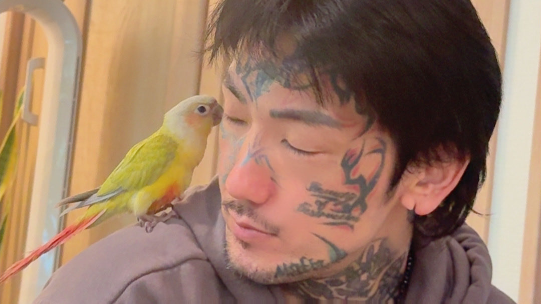エンジェルちゃんで心穏やかに