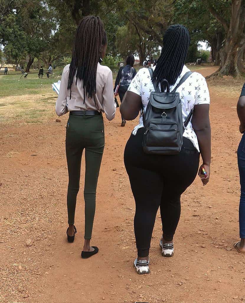 Raymond Dart(Mr Dart) tweet media