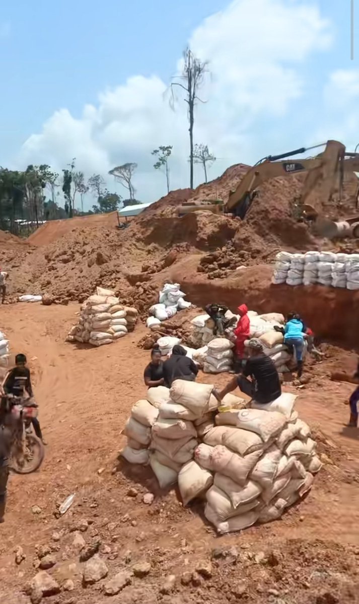 Fritz Sanchez tweet media