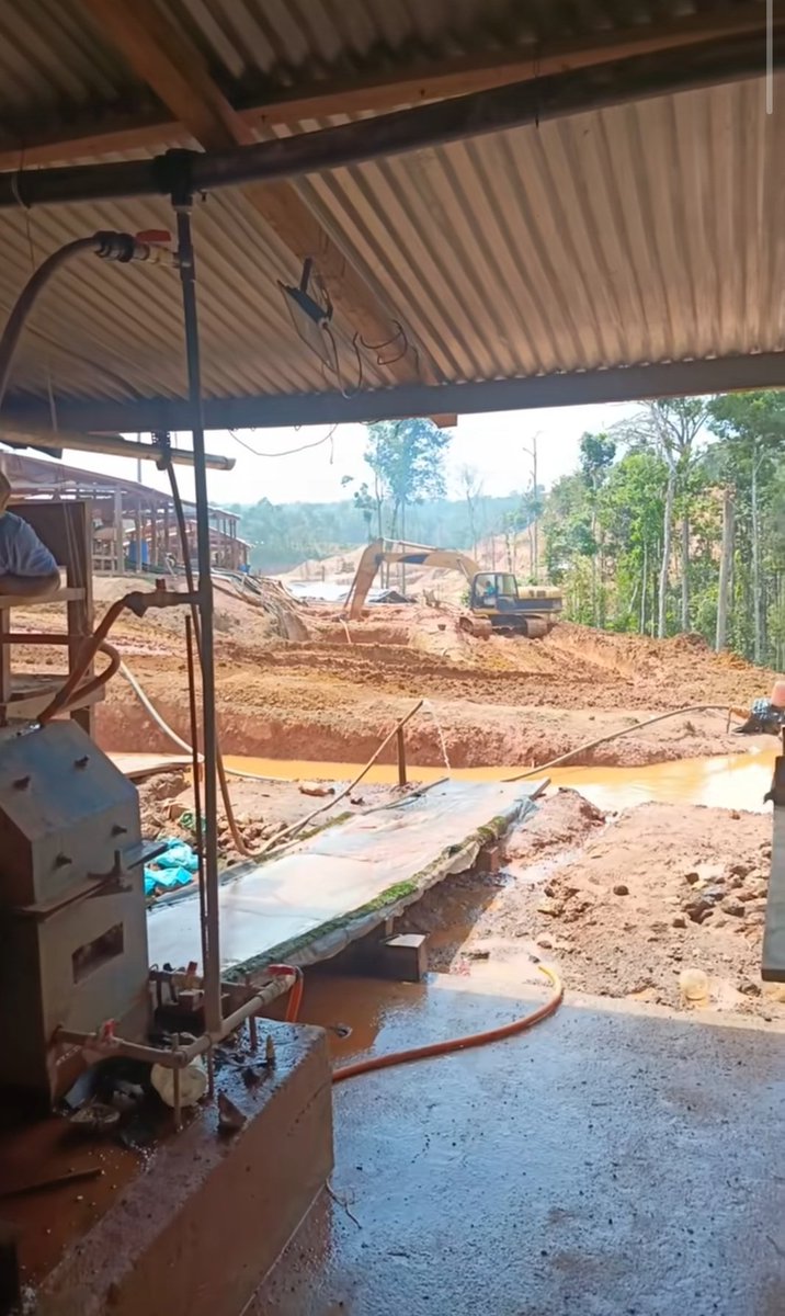 Fritz Sanchez tweet media