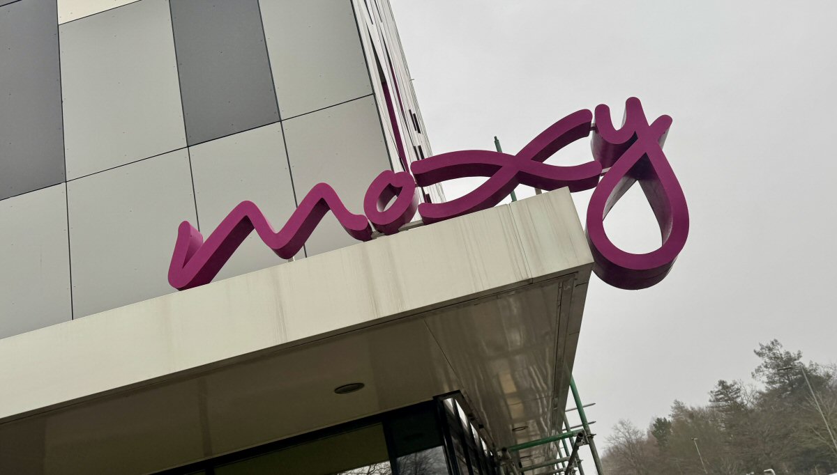 Sticky Beak Blog tweet media